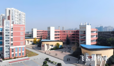 四川单招历年录取率对比分析