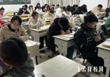 2025新增单招院校集训攻略