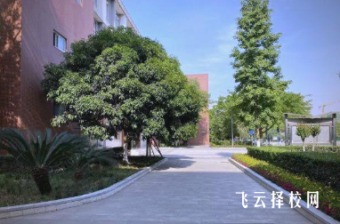 新津实验中学是否招收低分考生