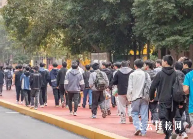 四川单招文化素质和职业技能考试怎么准备