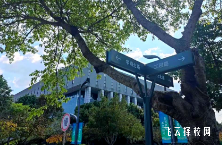 四川建筑职业技术学院2025单招录取分数线