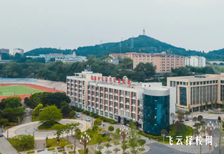 绵阳职业技术学院2025单招录取分数线