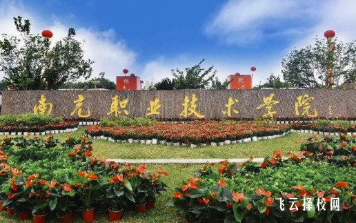 南充职业技术学院2025单招录取分数线