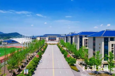 达州职业技术学院2025单招录取分数线
