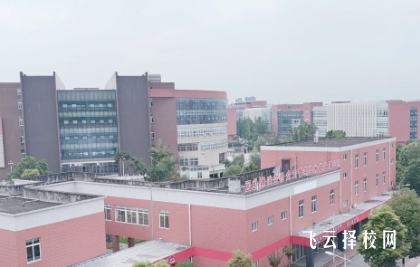 乐山职业技术学院2025单招录取分数线