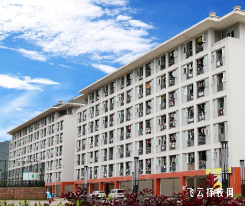 雅安职业技术学院2025单招录取分数线