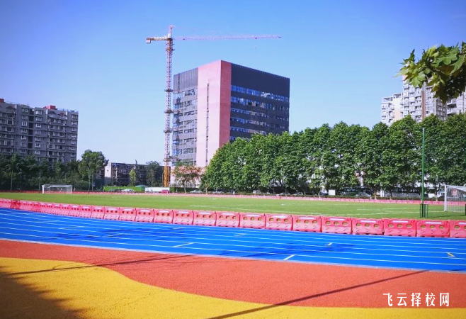 四川体育职业学院2025单招录取分数线