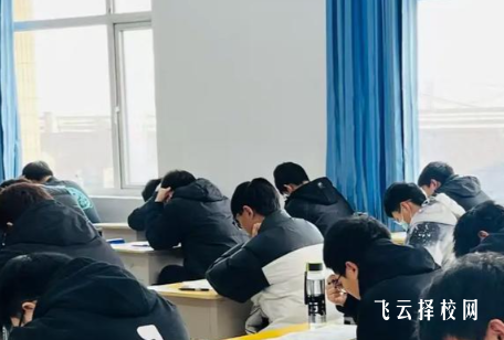 单招集训营适合所有人吗？