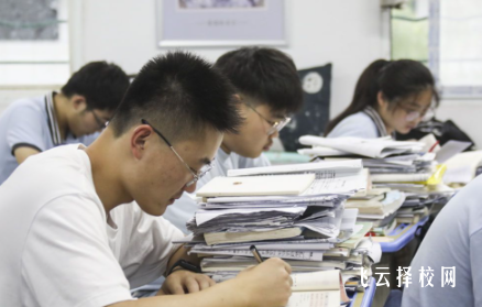 单招集训营适合所有人吗？