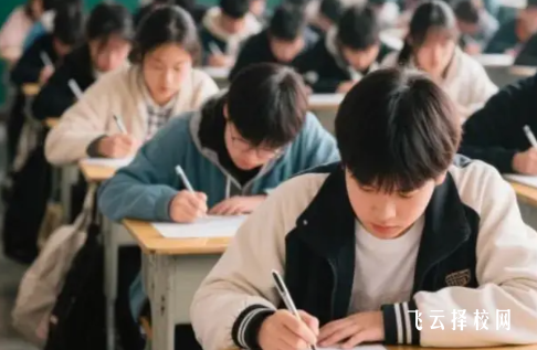 单招培训机构避坑指南