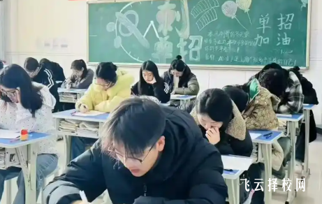单招培训试听重要吗？