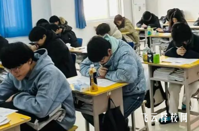 单招线上培训效果如何？