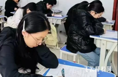 单招线上培训效果如何？