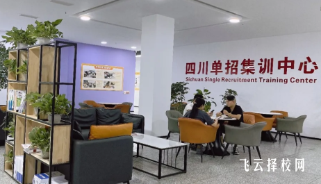 锦城菁英单招班型有哪些？