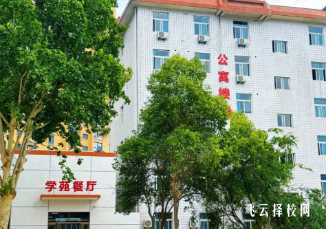 竞元单招师资力量怎么样？