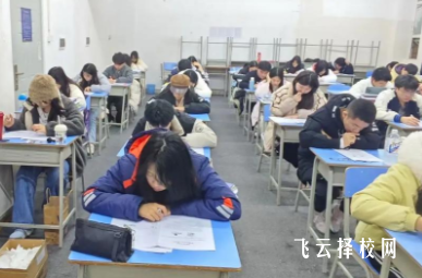 明阳单招课程内容是什么？