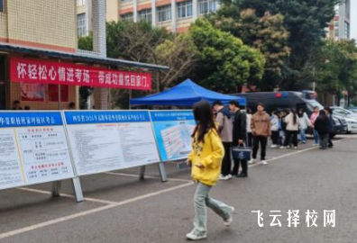 四川单招录取流程,手把手教你操作