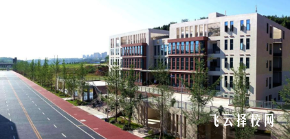 四川单招录取率最高院校TOP10名单