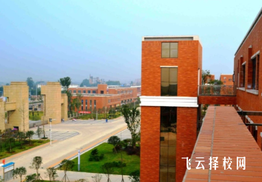 金堂职高有哪些升学渠道?对口高考本科上线率调查